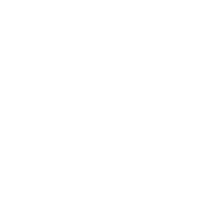 logo setara